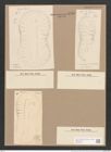 Surirella macraeana Grev. (de-Toni-Nr.: Genus 53, Species 2297) Zeichnungen Sammlung Grunow Nr. 4746 (NHMW-BOT-W0372857)